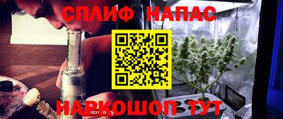 тгк Краснодар