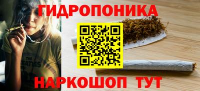 тгк Краснодар