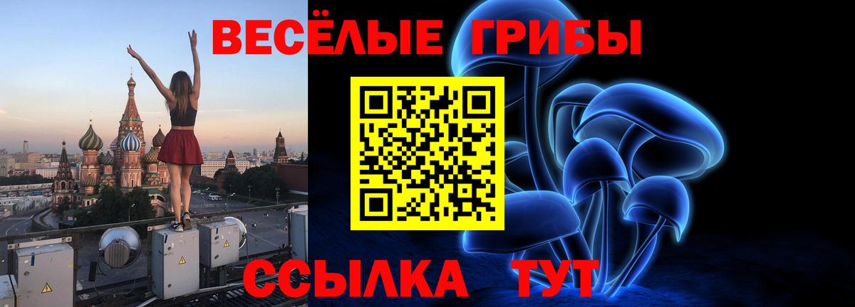 Клин  Галлюциногенные грибы Psilocybine cubensis  Вход с VPN 